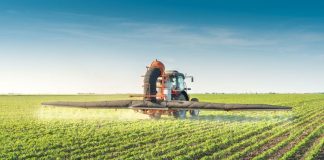 Fertilizarea fazială a cerealelor păioase