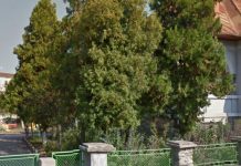 Grădinița ”Lumea Copiilor” angajează o îngrijitoare