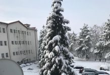 Peisaj de poveste, la Spitalul de Pneumoftiziologie „Tudor Vladimirescu”