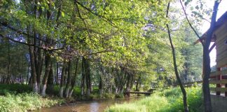 În lumea „Apei Vii” la Izvarna