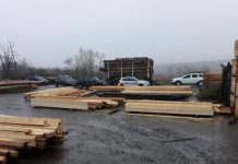 Zeci de metri cubi de lemn, confiscați în urma unui control