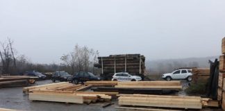 Zeci de metri cubi de lemn, confiscați în urma unui control