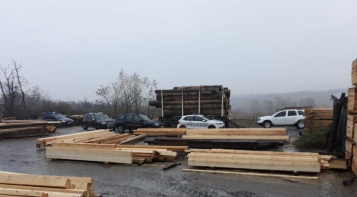 Video: Verificări și confiscări la două depozite de lemne din Gorj