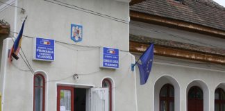 Incompatibilitate pentru un fost ales local din Vladimir