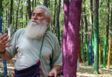 Gala Premiilor Uniunii Artiștilor Plastici din România pentru anul 2017