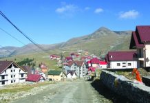 Rânca are coșuri de gunoi!