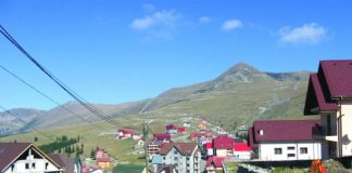 Rânca are coșuri de gunoi!