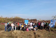 Când alții “rad” păduri întregi, Rotary plantează copaci