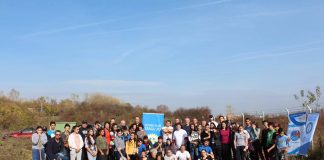 Când alții “rad” păduri întregi, Rotary plantează copaci