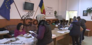 Peste 500 de târgujieni au solicitat subvenţia la încălzire cu lemne ori gaze naturale