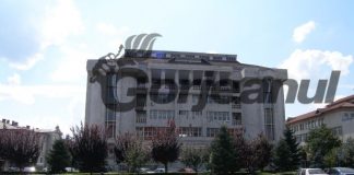 Nici un mandat pentru bătăușii de la Izvoarele