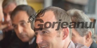 Deputatul Vîlceanu cere demisii la CEO!