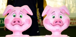 Jocuri pe bandă în Cupa Porcului