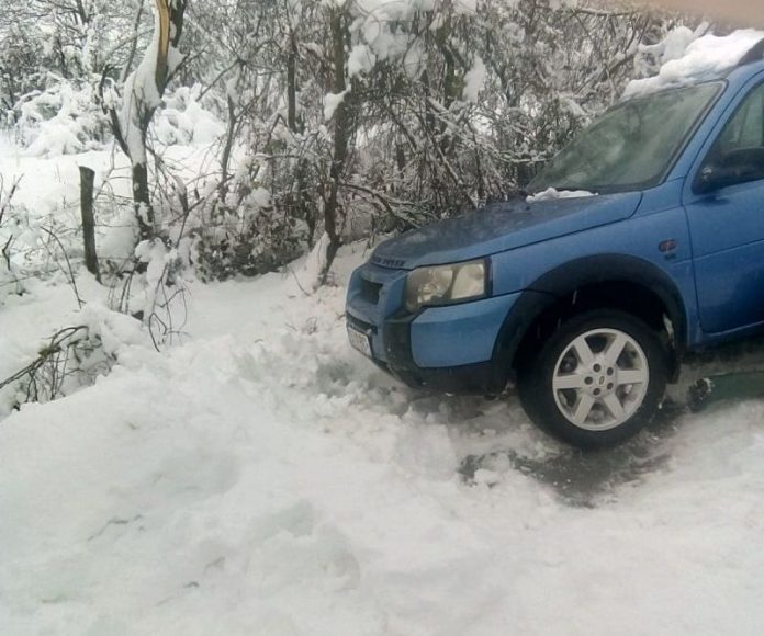 48370674_2223787777878940_2503248386266759168_n