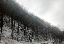 Avalanşă în Defileul Jiului! Drumarii intervin pe DN 66