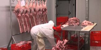 Amenzi de aproape 55.000 de lei și sechestru pe zeci de kilograme de carne, aplicate de inspectorii DSVSA