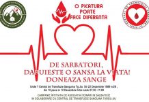 Campanie de donare de sânge, organizată de Asociația „Hoinari în Sălbăticie”