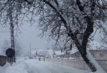 Localnicii înzăpeziți din Valea cu Apă, Roșia și Rogojelu au înroșit telefonul Prefecturii Gorj! Pârtie doar la locuința primarului și a unor consilieri locali