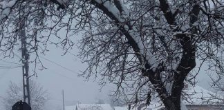 Localnicii înzăpeziți din Valea cu Apă, Roșia și Rogojelu au înroșit telefonul Prefecturii Gorj! Pârtie doar la locuința primarului și a unor consilieri locali