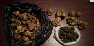 Patru kilograme de trufe, confiscate de polițiști