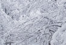 Drum impracticabil între Licurici și Berlești! Coadă de peste 20 de mașini iar printre ele și un microbuz plin de călători