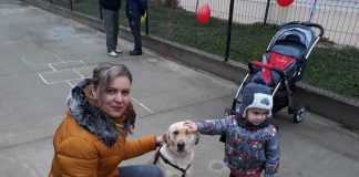 Cățelul Jolene, vedeta serbării de la Centrul de zi de recuperare pentru copilul cu dizabilităţi