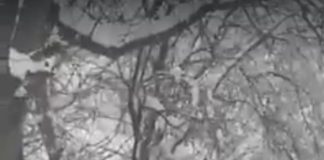 Comuna Samarinești înoată în zăpadă! Femeile au ieșit la lopată, în timp ce autoritățile nu răspund la telefoane