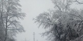 Comuna Săcelu, paralizată de zăpadă! Sate fără curent, fire căzute pe carosabil