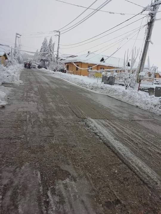 Rosia de Amaradia (4)