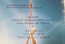 Spectacol de balet, la Târgu-Jiu