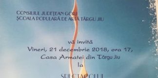 Spectacol de balet, la Târgu-Jiu