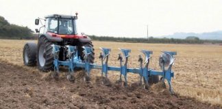 Agricultura pe înțelesul tuturor – Graficul lucrărilor agricole în luna decembrie