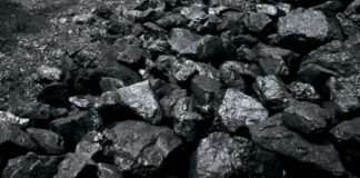 Șofer prins în timp ce transporta 25 de tone de cărbune cu acte false