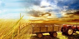 APIA a achitat un avans de peste 1 miliard de euro la subvențiile pentru fermieri