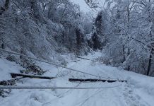 Sindicalistul Măruță, indignat de nepăsarea primarului din Stănești: „Oamenii din Pârvulești și Vălari sunt izolați și ajung la serviciu epuizați după kilometri parcurși pe jos, prin zăpadă”