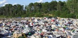 Program bugetat de 25 de milioane de lei, lansat de AFM