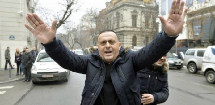 ion_bircina_76337000-740x360