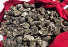 Zeci de kilograme de trufe și afine, confiscate de polițiști