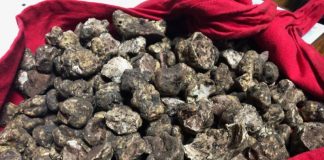 Zeci de kilograme de trufe și afine, confiscate de polițiști