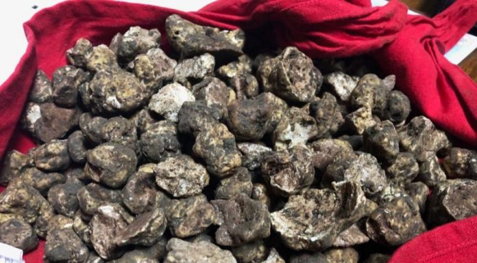 Trufe confiscate de polițiști, în urma unui control în trafic