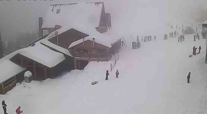 Unități de alimentație din Novaci și Rânca, amendate!