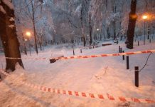 Parcul Central închis, arbori rupți!