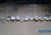 Prognoza meteo pentru 2019, dezvăluită de Calendarul de ceapă