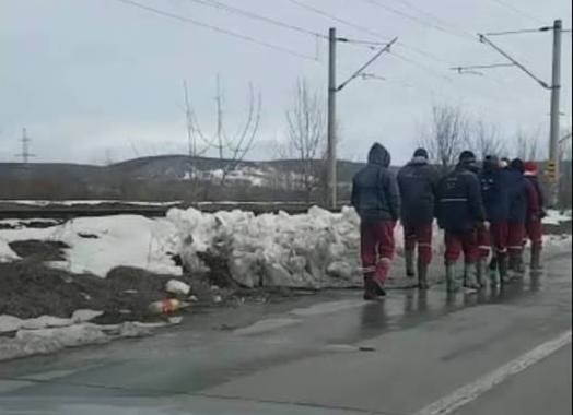 49114116_218465415702585_7722740244935606272_n