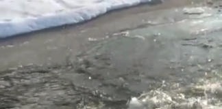 Un singur bărbat s-a aruncat în Gilort ca să scoată crucea de Bobotează, la Bengești-Ciocadia