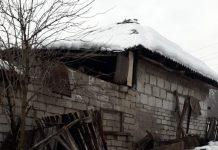 O femeie a murit, după ce a fost strivită de lemne