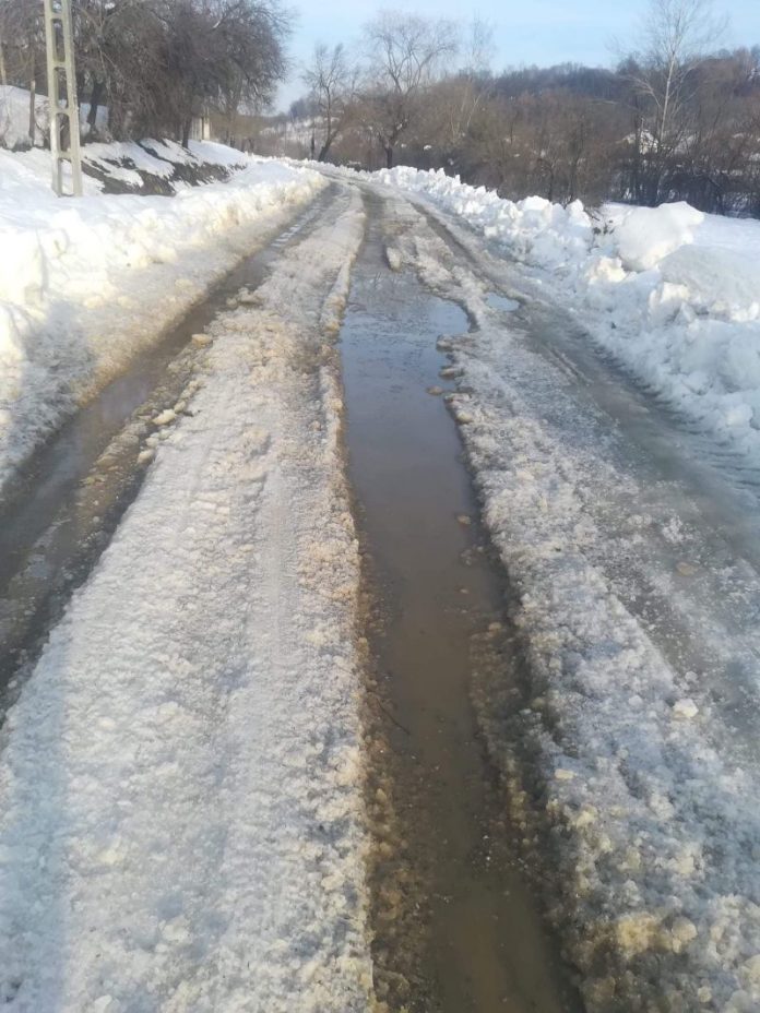 50855087_531148504038134_6427087253276721152_n