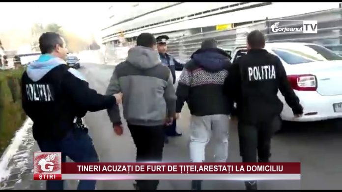TINERI ACUZAȚI DE FURT DE ȚIȚEI,ARESTAȚI LA DOMICILIU
