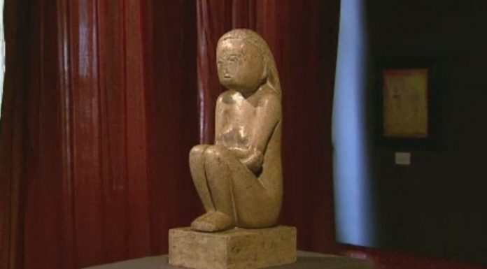 Emag restituie donațiile pentru ”Cumințenie Pământului”