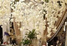 Îndrăgita Camelia Argint s-a stins din viață!